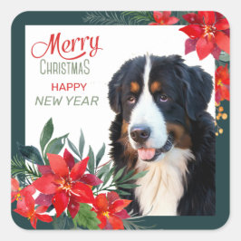 Bernese Mountain Hund Poinsettia Bouquet jul Fyrkantigt Klistermärke