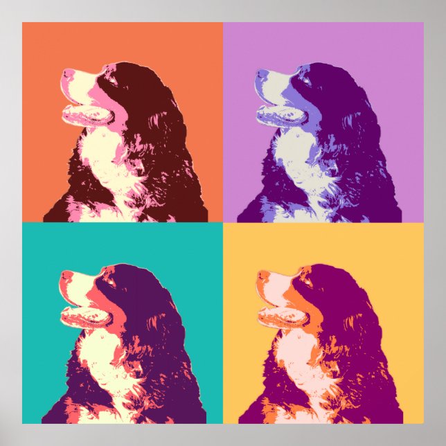 Bernese Mountain Hund Pop Art Poster (Framsidan)