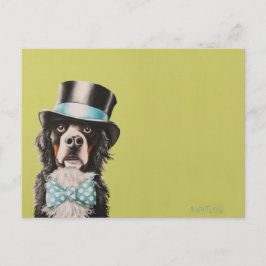 Bernese Mountain Hund Postcard - Toben Vykort