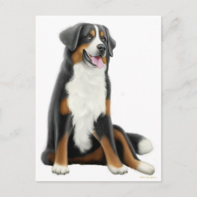 Bernese Mountain Hund Postcard Vykort (Framsida)