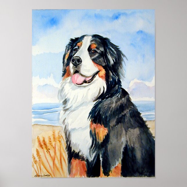 Bernese Mountain Hund Poster Skriv ut (Framsidan)