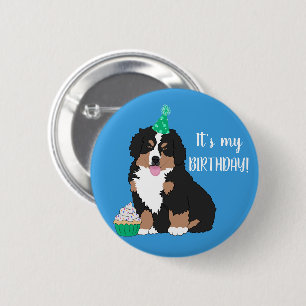 Bernese Mountain Hund Puppy Birthday Knapp