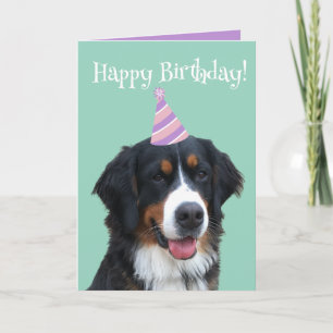 Bernese Mountain Hund Puppy Birthday Kort