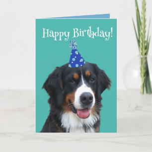 Bernese Mountain Hund Puppy Birthday Kort