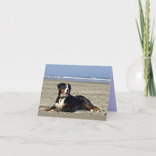 Bernese Mountain Hund Puppy Hund Note Card Kort