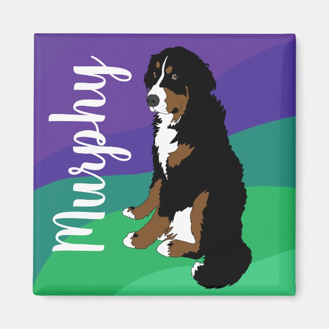 Bernese Mountain Hund Puppy Magnet (Framsidan)