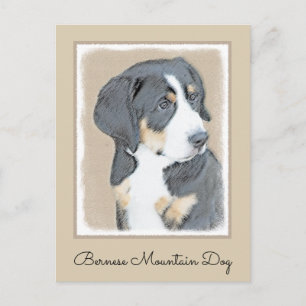 Bernese Mountain Hund Puppy Painting - Original Ar Vykort