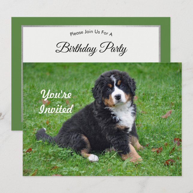 Bernese Mountain Hund Puppy Photo Birthday Inbjudningar (Fram/baksida)