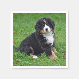 Bernese Mountain Hund Puppy Photo Pappersservett