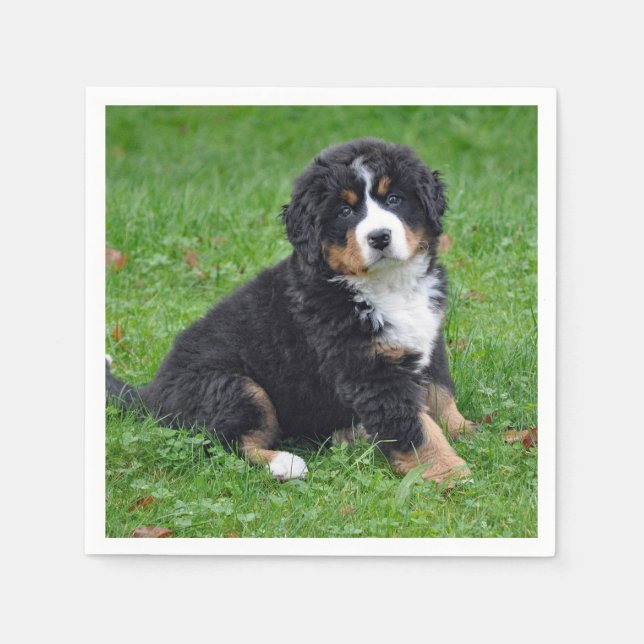 Bernese Mountain Hund Puppy Photo Pappersservett (Framsidan)