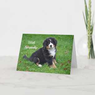 Bernese Mountain Hund Puppy Photo Sympathy Kort