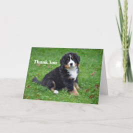 Bernese Mountain Hund Puppy Photo Tack Kort