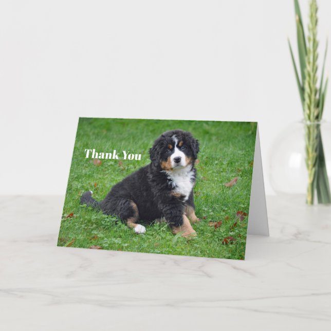 Bernese Mountain Hund Puppy Photo Tack Kort (Framsida)