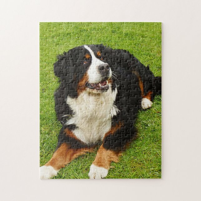 Bernese Mountain hund Puzzle Pussel (Vertikal)