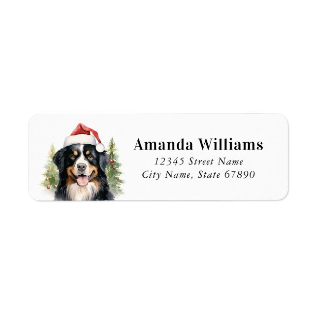 Bernese Mountain Hund Returetiketter Returadress Etikett (Framsidan)