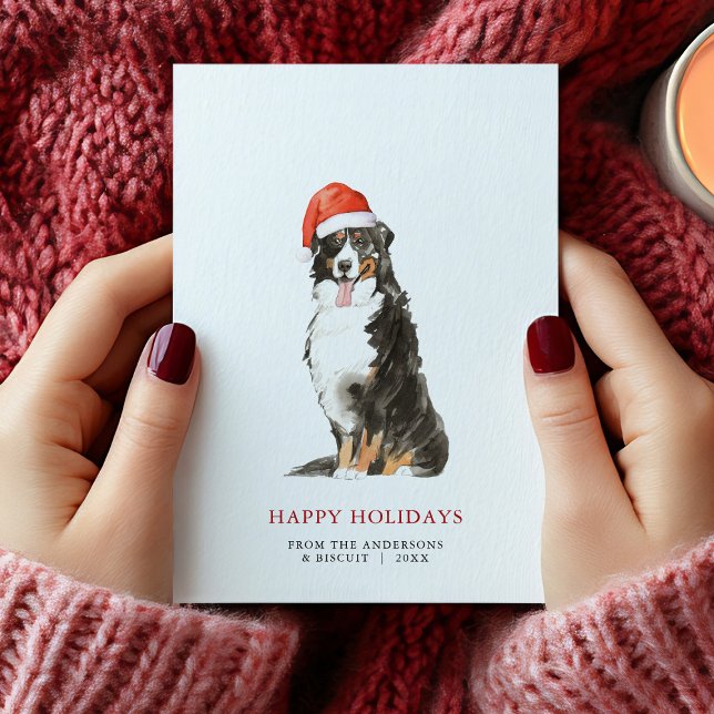 Bernese Mountain Hund Santa Hat-julkort Meddelande (Bernese Mountain Dog Santa Hat Christmas Card)