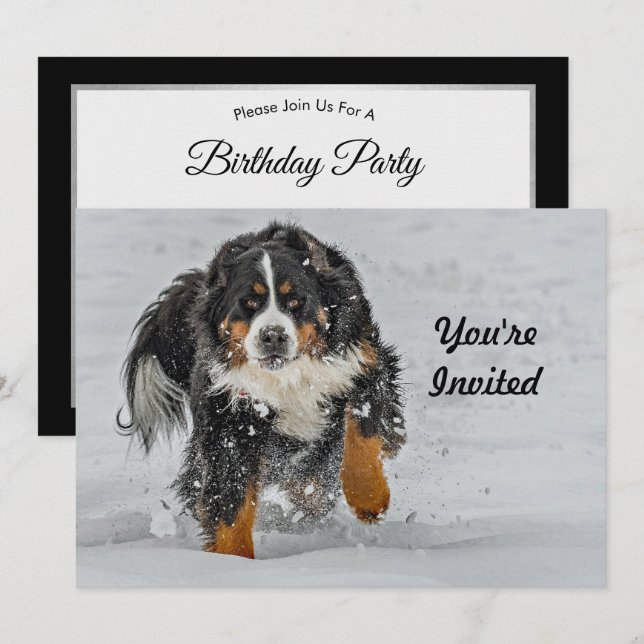 Bernese Mountain Hund Snö Photo Birthday Inbjudningar (Fram/baksida)