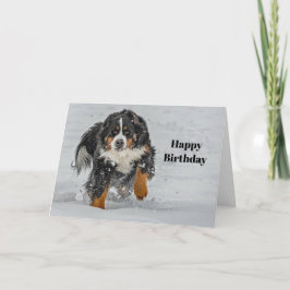 Bernese Mountain Hund Snö Photo Birthday Kort