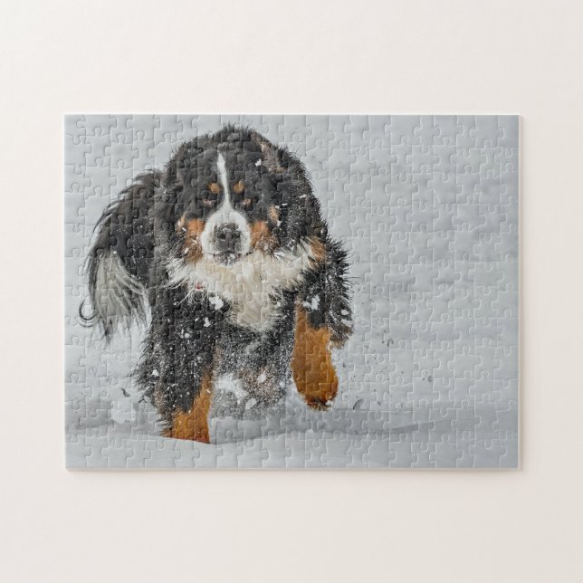 Bernese Mountain Hund Snö Photo Pussel (Horisontell)