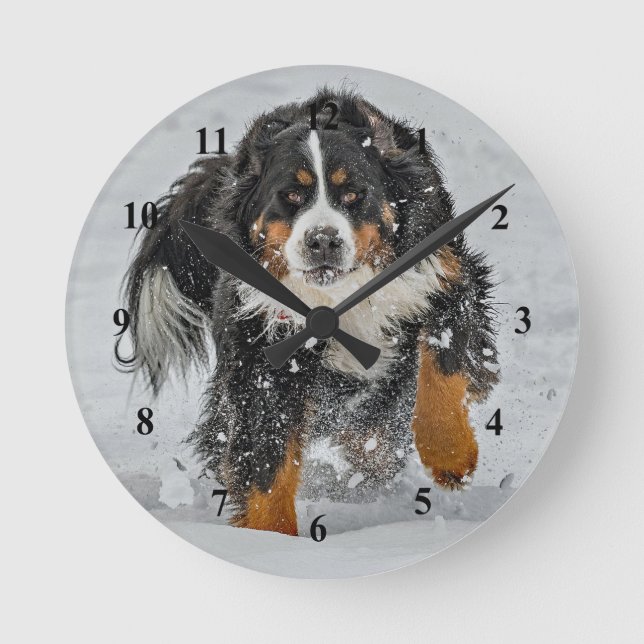 Bernese Mountain Hund Snö Photo Rund Klocka (Framsida)