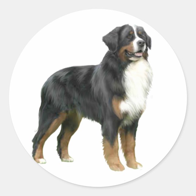 Bernese Mountain Hund - stående Runt Klistermärke (Framsida)