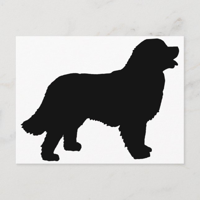 Bernese Mountain Hund (svart silhouette) Vykort (Framsida)