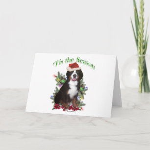 Bernese Mountain Hund "Tis Helgkort