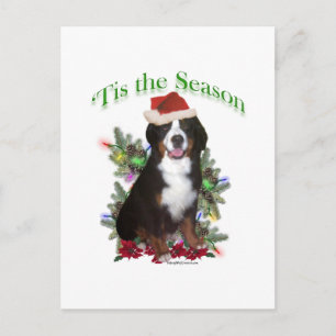 Bernese Mountain Hund "Tis Vykort