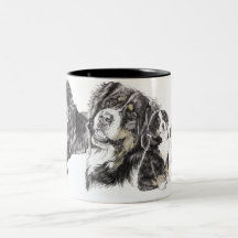 Bernese Mountain Hund