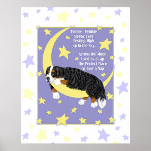 Bernese Mountain Hund Twinkle Poster