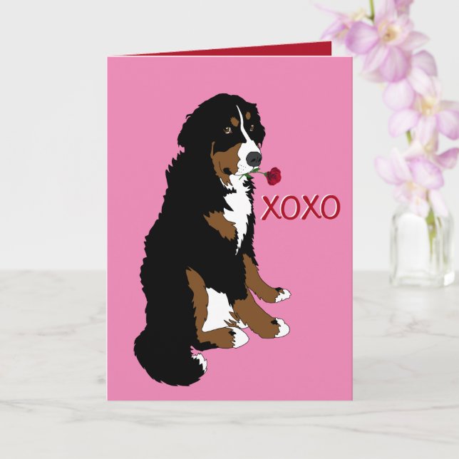 Bernese Mountain Hund Valentine Day Kort (Orkide)
