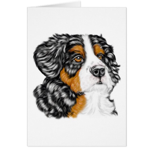 Bernese Mountain Hund Valp Hälsningskort (Framsidan)