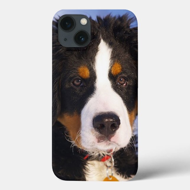 Bernese Mountain Hund Valp iPad-fall (Baksida)