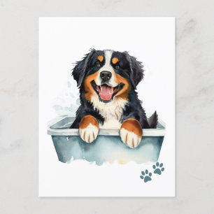 Bernese Mountain Hund Vykort