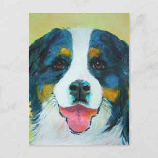 Bernese Mountain Hund Vykort