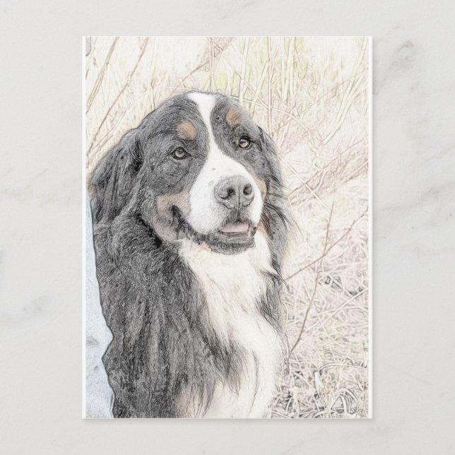 Bernese Mountain Hund Vykort (Framsida)