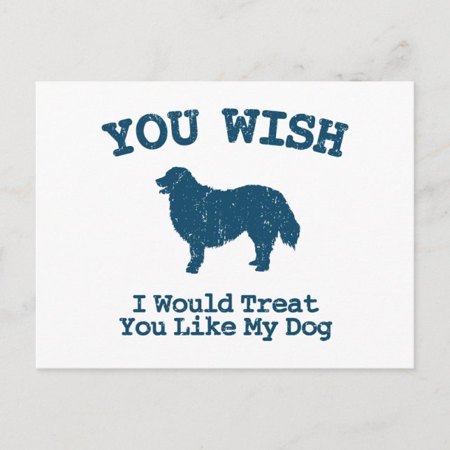 Bernese Mountain Hund Vykort (Framsida)