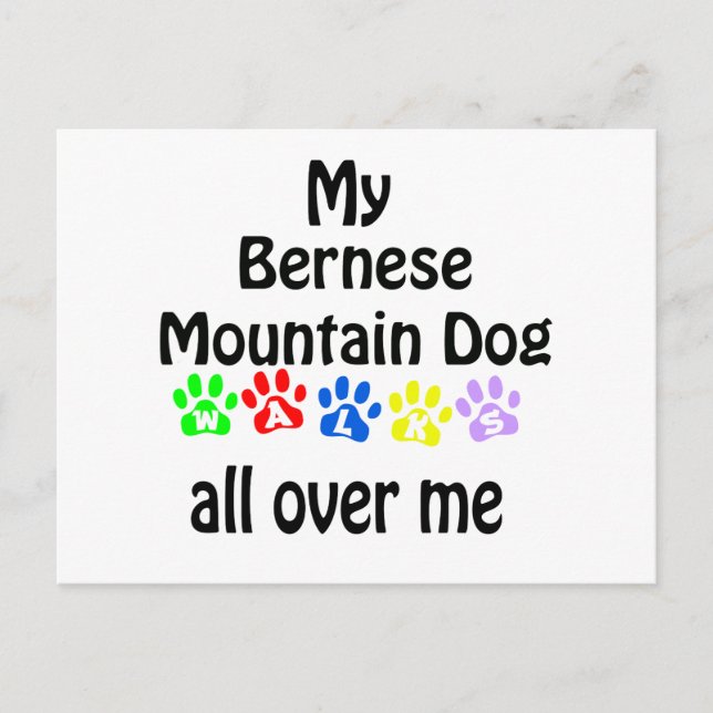 Bernese Mountain Hund Walks Design Vykort (Framsida)