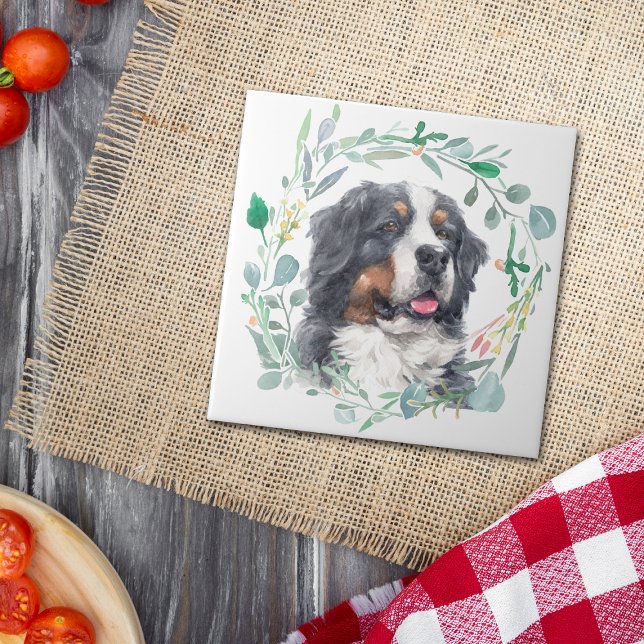 Bernese Mountain Hund Watercolor Wandeans Kakelplatta (Skapare uppladdad)