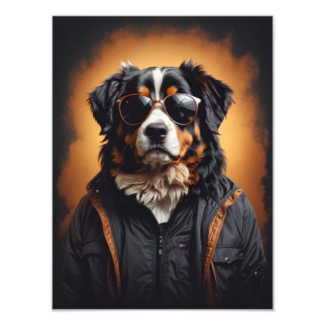 Bernese Mountain Hund Wearing Jacka och Sunglass Fototryck (Framsidan)