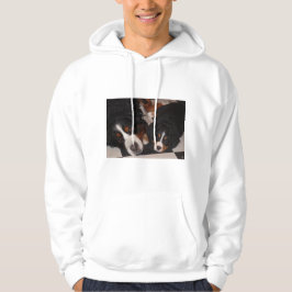 Bernese Mountain Hundar Head till Head Manar Hoodi Sweatshirt