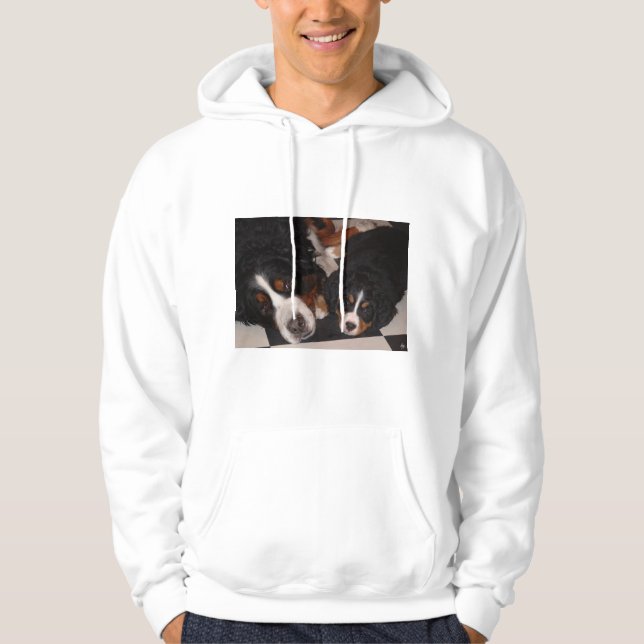 Bernese Mountain Hundar Head till Head Manar Hoodi Sweatshirt (Framsida)