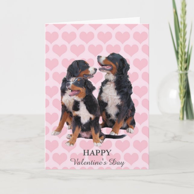 Bernese Mountain Hundar Hearts Valentine Day Card Helgkort (Framsida)