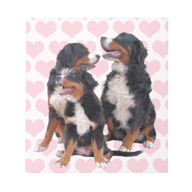 Bernese Mountain Hundar med Rosa Hearts Anteckningsblock (Framsida)