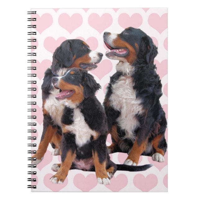 Bernese Mountain Hundar med Rosa Hearts Anteckningsbok Med Spiral (Framsidan)