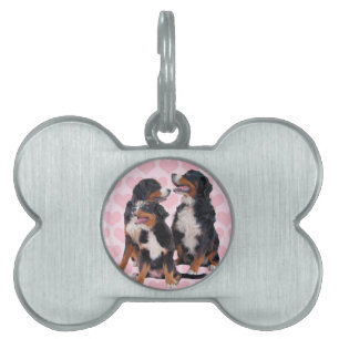 Bernese Mountain Hundar med Rosa Hearts ID-bricka Husdjur