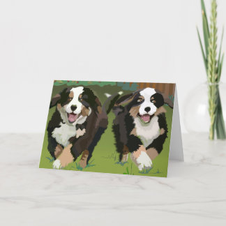 Bernese Mountain Hundar notecards Kort