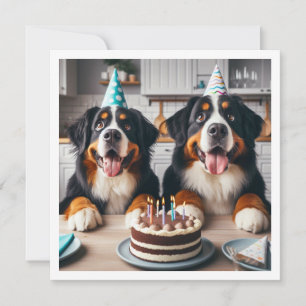 Bernese Mountain-inbjudan, Hund-hund Inbjudningar