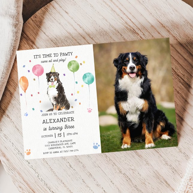Bernese Mountain Pawty Puppy Birthday Rosa Photo Inbjudningar (Skapare uppladdad)