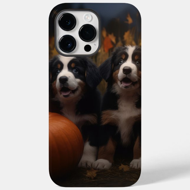 Bernese Mountain Puppy Autumn Delight Pumpkin (Baksida)